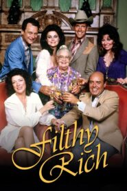 Filthy Rich 1982 one on netflix