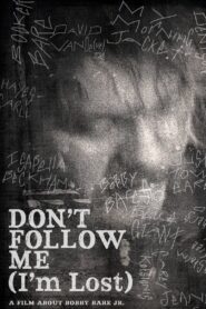 Bobby Bare Jr: Don’t Follow Me (I’m Lost) 2012 one on netflix