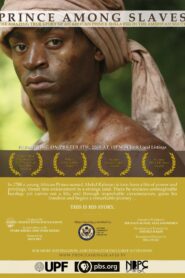 Prince Among Slaves 2008 one on netflix