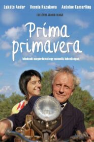 Prima Primavera 2009 one on netflix