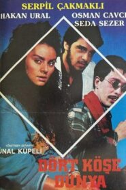 Dört Köşe Dünya 1988 one on netflix