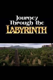 Journey Through the Labyrinth 2007 one on netflix