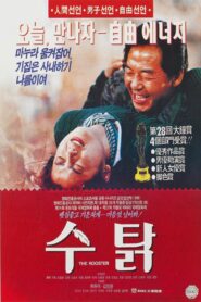 Rooster 1990 one on netflix