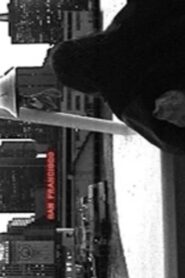 Noise 2002 one on netflix