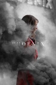 Phoenix 2014 one on netflix