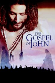 The Gospel of John 2003 one on netflix
