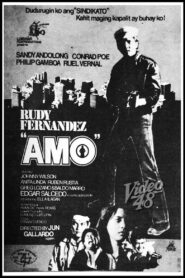 Amo 1982 one on netflix