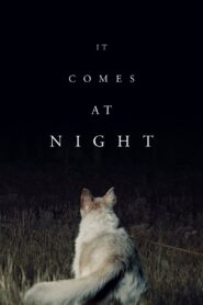 It Comes at Night 2017 one on netflix