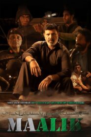 Maalik 2016 one on netflix