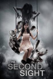 The Second Sight 2013 one on netflix