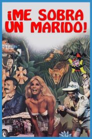 Me sobra un marido 1987 one on netflix