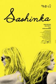 Sashinka 2017 one on netflix