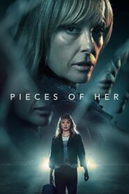 PIECES OF HER 2022 one on netflix