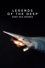 Legends of the Deep: Deep Sea Sharks 2015 one on netflix