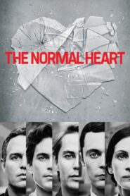 The Normal Heart 2014 one on netflix