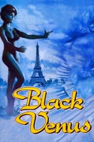 Black Venus 1983 one on netflix