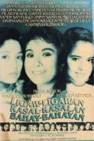 Ligaw-Ligawan, Kasal-Kasalan, Bahay-Bahayan 1993 one on netflix