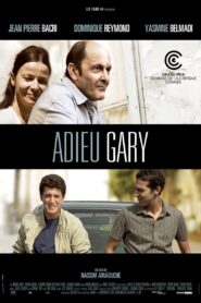 Adieu Gary 2009 one on netflix