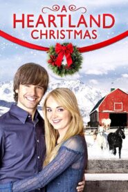 A Heartland Christmas 2010 one on netflix