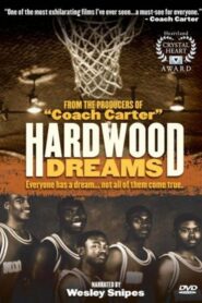 Hardwood Dreams 1993 one on netflix