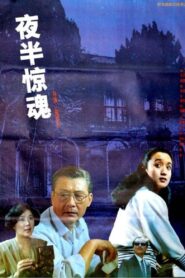 夜半惊魂 1991 one on netflix