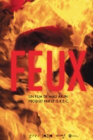 Feux 2015 one on netflix