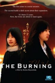 The Burning 2008 one on netflix