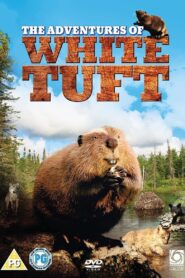 White Tuft, the Little Beaver 2008 one on netflix