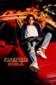 If Looks Could Kill 1991 one on netflix