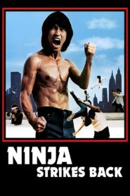 Bruce Strikes Back 1982 one on netflix