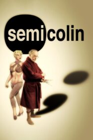 Semi Colin 2012 one on netflix