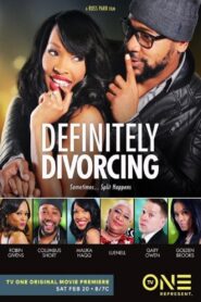 Definitely Divorcing 2016 one on netflix