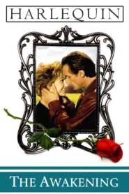 The Awakening 1995 one on netflix