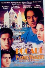 Bocaue Pagoda Tragedy 1995 one on netflix