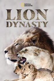 Lion Dynasty 2021 one on netflix