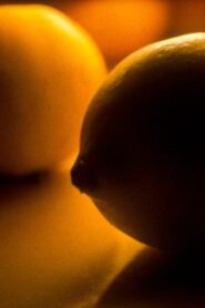 Variations 1998 one on netflix