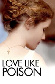 Love Like Poison 2010 one on netflix