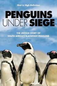Penguins Under Siege 2004 one on netflix