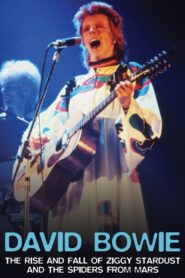 David Bowie: The Rise And Fall of Ziggy Stardust and the Spiders From Mars 2006 one on netflix