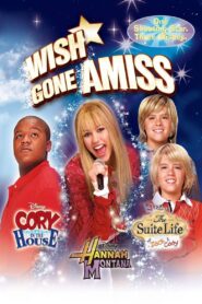 Wish Gone Amiss 2007 one on netflix