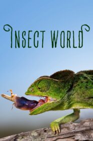 Insect World 2017 one on netflix