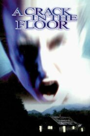 A Crack in the Floor 2001 one on netflix