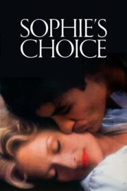 Sophie’s Choice 1982 one on netflix
