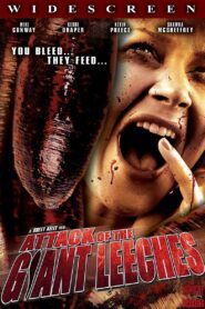 Attack of the Giant Leeches 2008 one on netflix