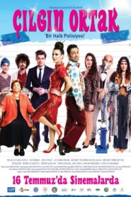 Çılgın Ortak 2021 one on netflix