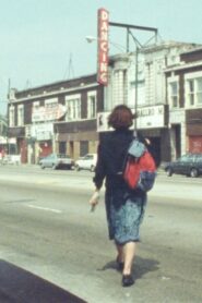 Ruins Within 1992 one on netflix