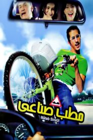 Life’s Speed Bump 2006 one on netflix