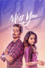Miss You 2024 one on netflix