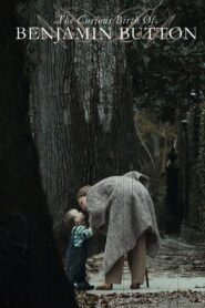 The Curious Birth of Benjamin Button 2009 one on netflix