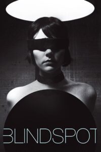 Blindspot 2008 one on netflix